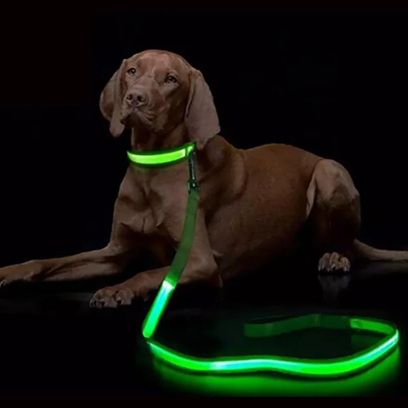 Light up dog lead hotsell